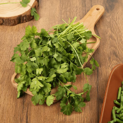 90a6c124-228f-4f83-bcad-11c372571084 90a6c124-228f-4f83-bcad-11c372571084