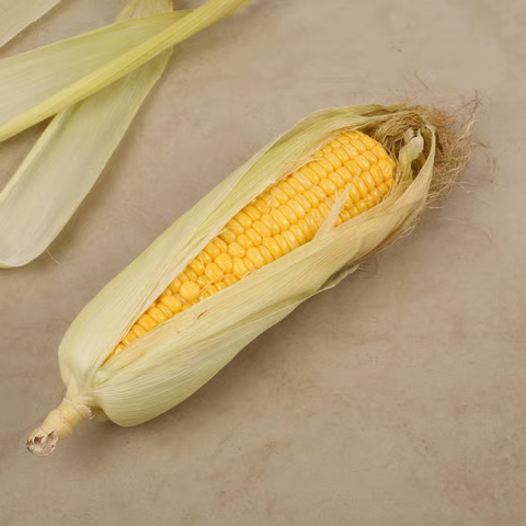 90a6c124-228f-4f83-bcad-11c372571084 90a6c124-228f-4f83-bcad-11c372571084