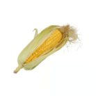 90a6c124-228f-4f83-bcad-11c372571084