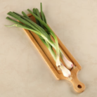 90a6c124-228f-4f83-bcad-11c372571084