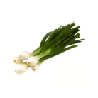 90a6c124-228f-4f83-bcad-11c372571084