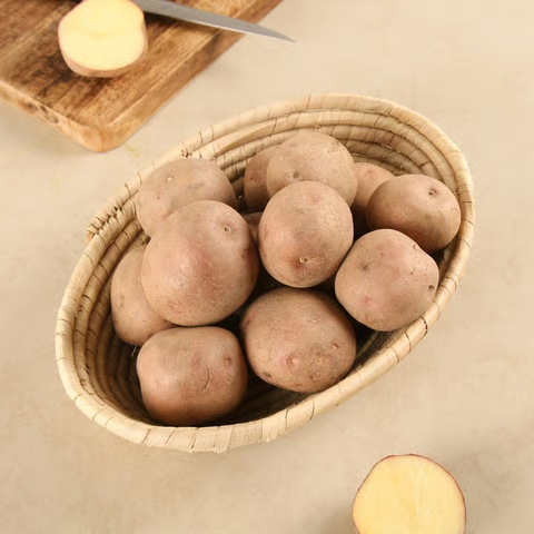 90a6c124-228f-4f83-bcad-11c372571084 90a6c124-228f-4f83-bcad-11c372571084