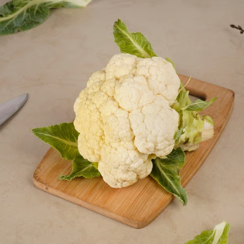 90a6c124-228f-4f83-bcad-11c372571084 90a6c124-228f-4f83-bcad-11c372571084