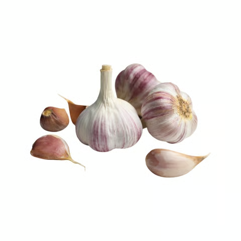 ddc29f5a-dca3-4297-86a8-fe573e385e81 ddc29f5a-dca3-4297-86a8-fe573e385e81