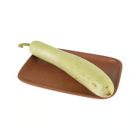 ddc29f5a-dca3-4297-86a8-fe573e385e81 ddc29f5a-dca3-4297-86a8-fe573e385e81