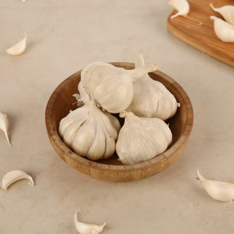 ddc29f5a-dca3-4297-86a8-fe573e385e81 ddc29f5a-dca3-4297-86a8-fe573e385e81