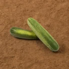 cucumber-otherimg