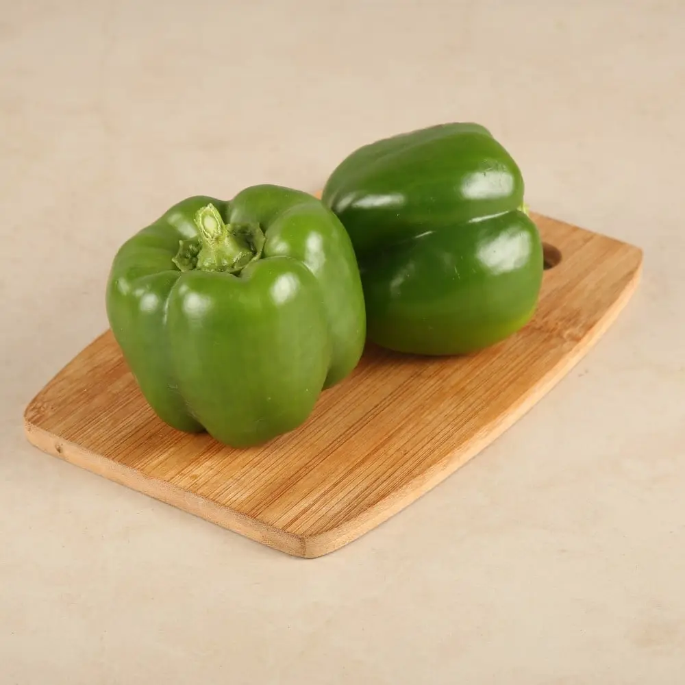 Capsicum