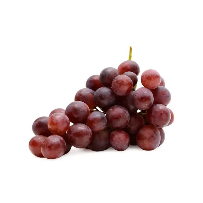 045bc5a0-6b02-4810-9d17-0dae295f64b0 045bc5a0-6b02-4810-9d17-0dae295f64b0