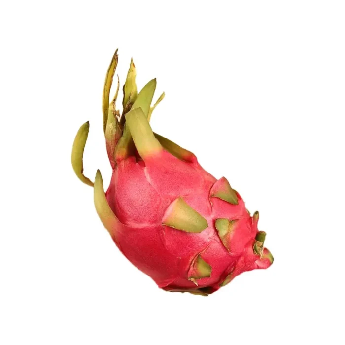 5fc1722e-237b-4e2b-94a1-beebe8720979 5fc1722e-237b-4e2b-94a1-beebe8720979