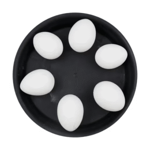 8b164ac0-6bbe-4d07-9105-8cdb7c093f58