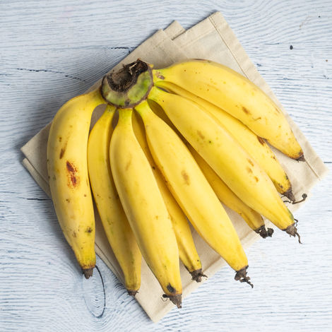 8b164ac0-6bbe-4d07-9105-8cdb7c093f58 8b164ac0-6bbe-4d07-9105-8cdb7c093f58