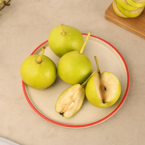 8b164ac0-6bbe-4d07-9105-8cdb7c093f58 8b164ac0-6bbe-4d07-9105-8cdb7c093f58