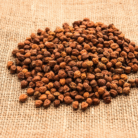 e00f5ffe-25b2-4071-8511-6f6251829e3a