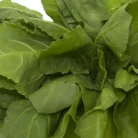 10000389-4_1-fresho-palak-cleaned-without-roots