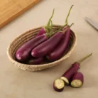 2b2e5c1f-6e42-48de-a0b1-d28f0718b9b0