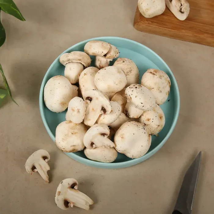 84fb0205-08e5-468b-b6fc-6a013248f37d