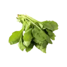 cd80d337-c89e-4864-871b-f989dd7670f2